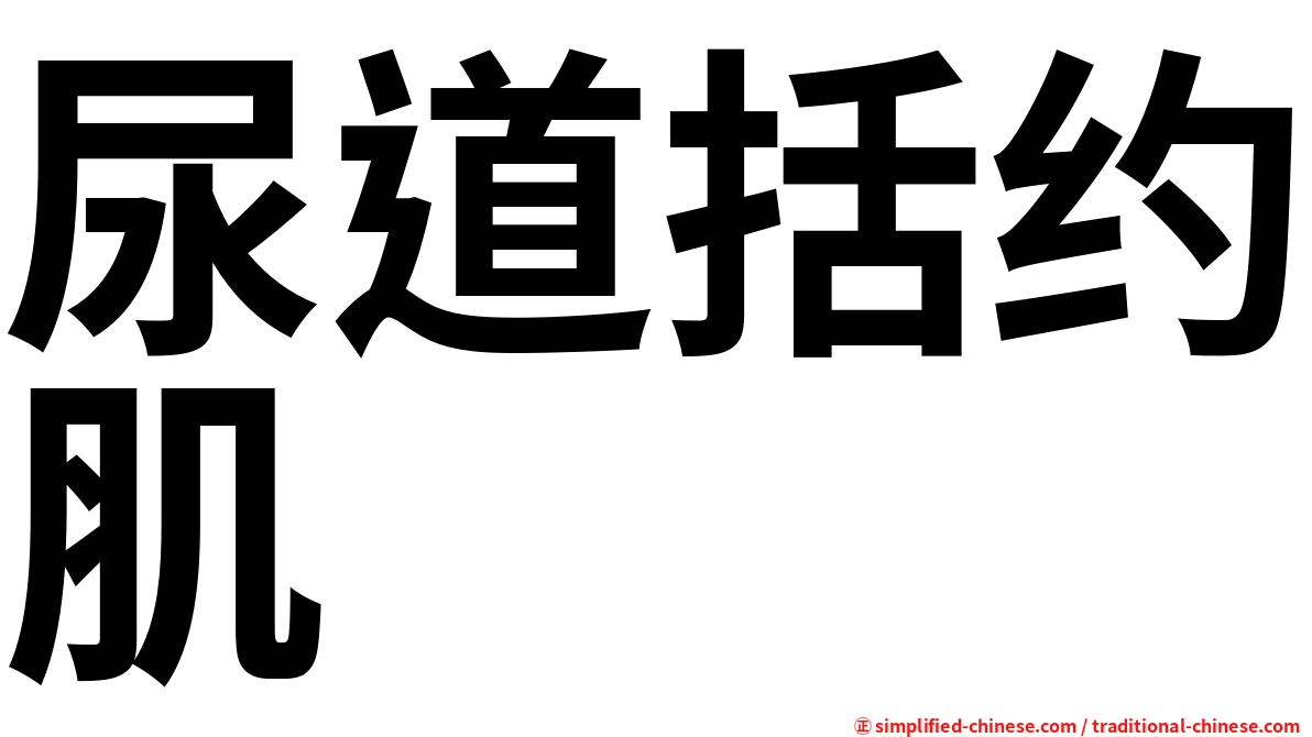 尿道括约肌