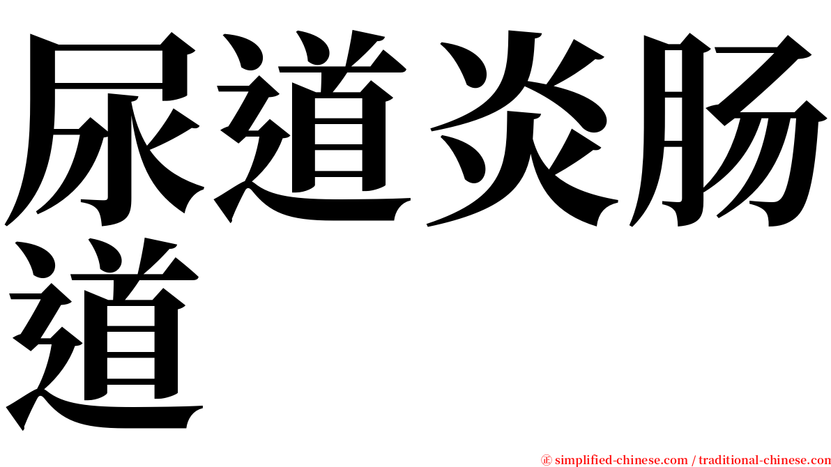 尿道炎肠道 serif font