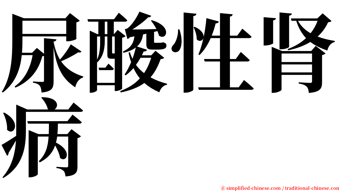 尿酸性肾病 serif font
