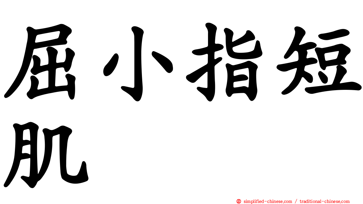 屈小指短肌
