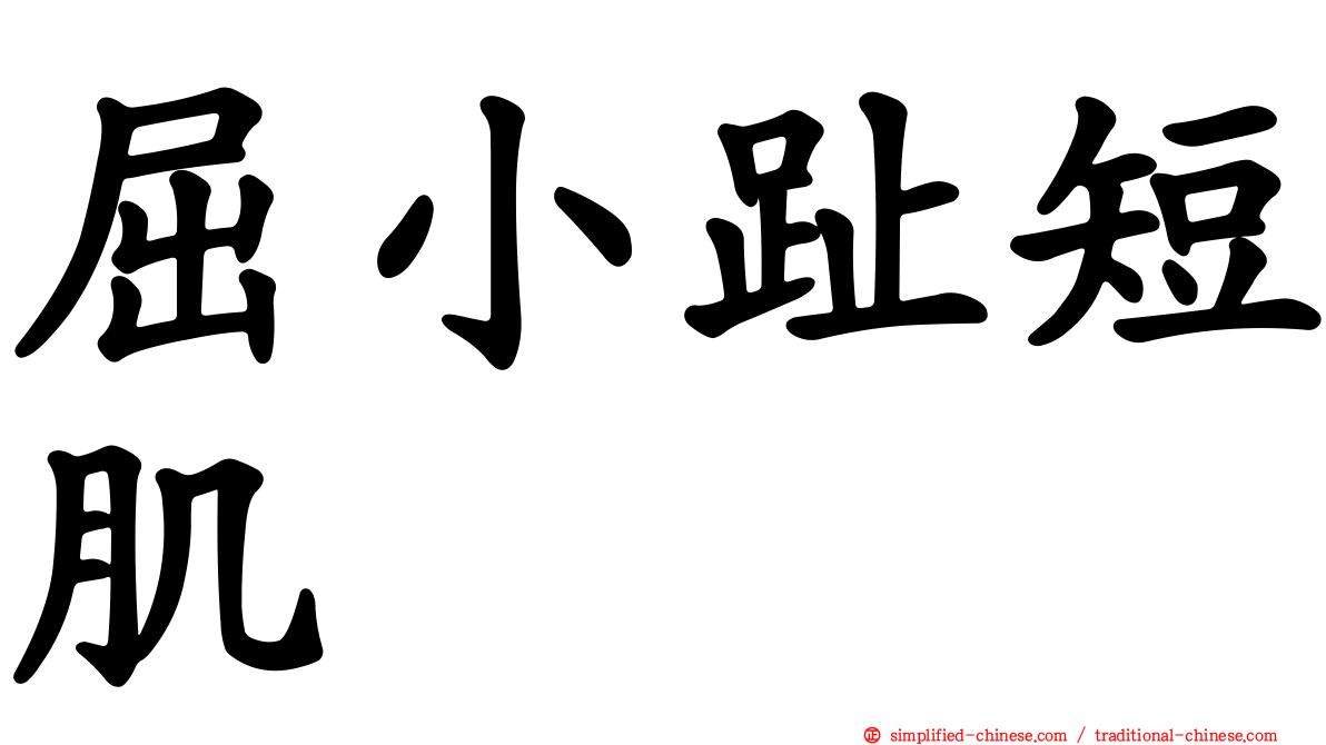 屈小趾短肌