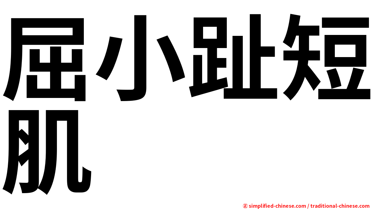 屈小趾短肌