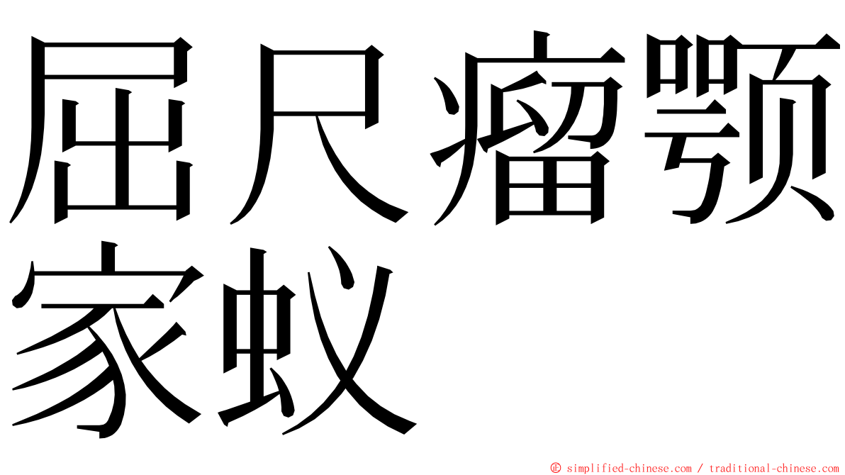 屈尺瘤颚家蚁 ming font