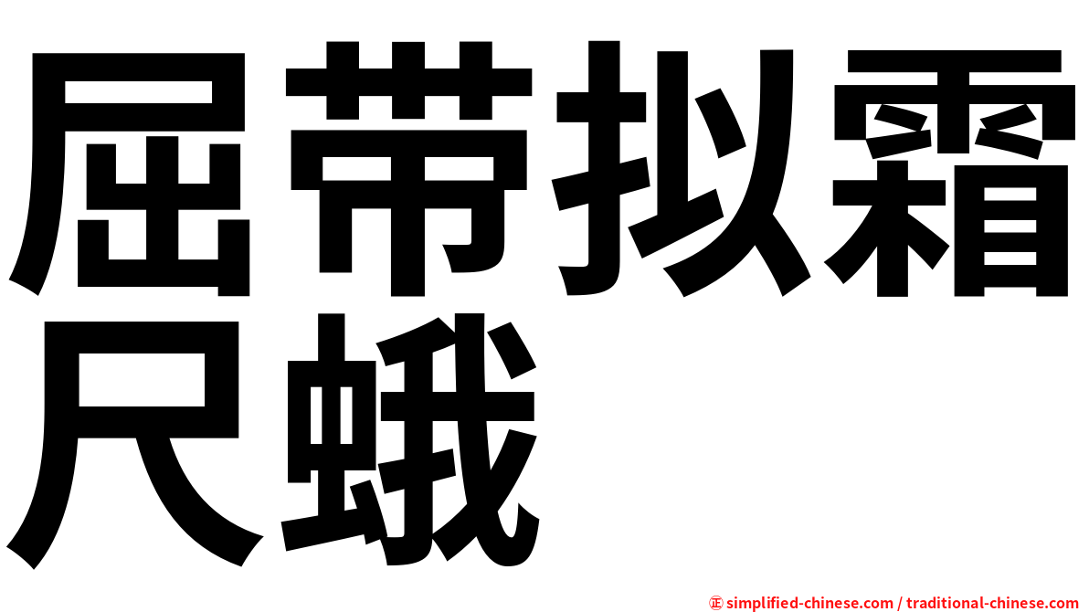 屈带拟霜尺蛾