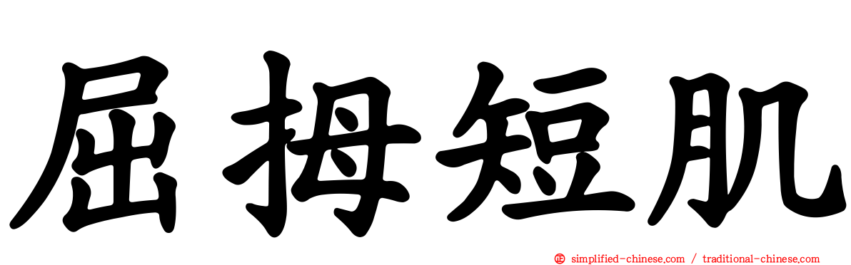 屈拇短肌