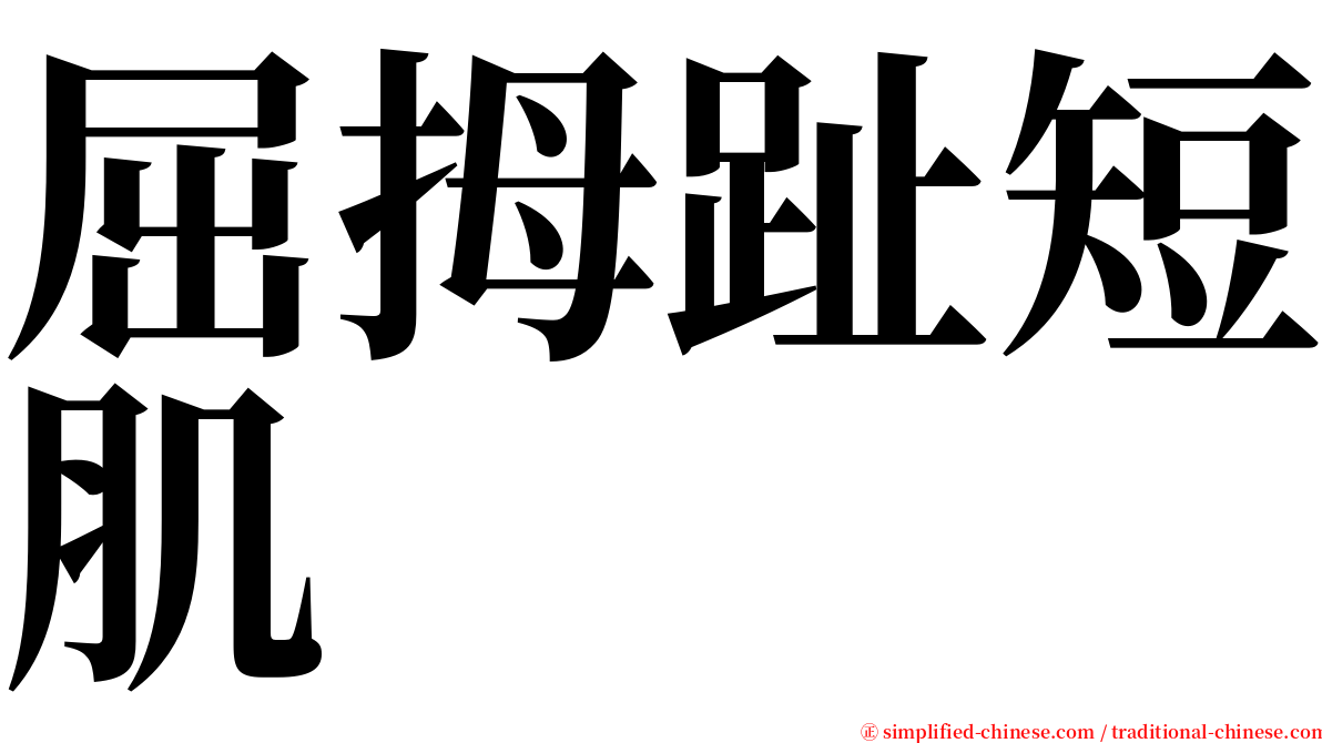 屈拇趾短肌 serif font