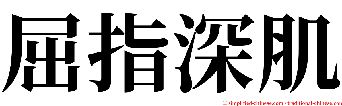 屈指深肌 serif font