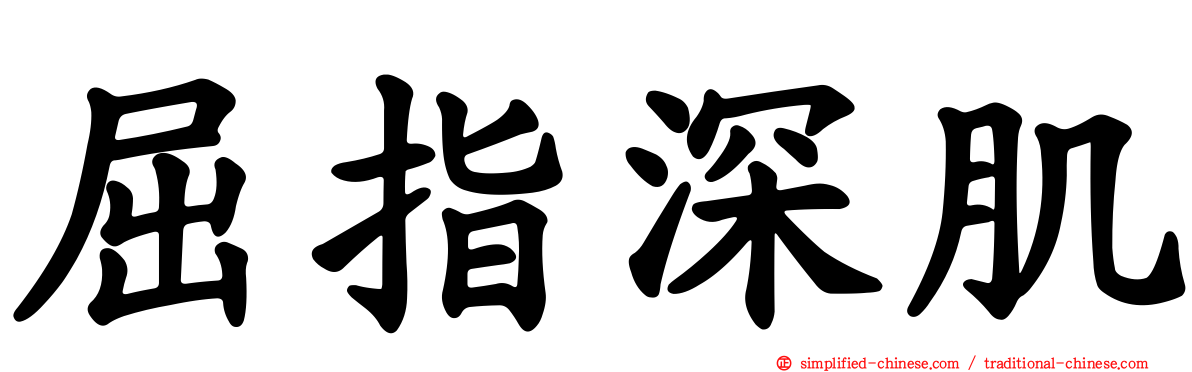 屈指深肌