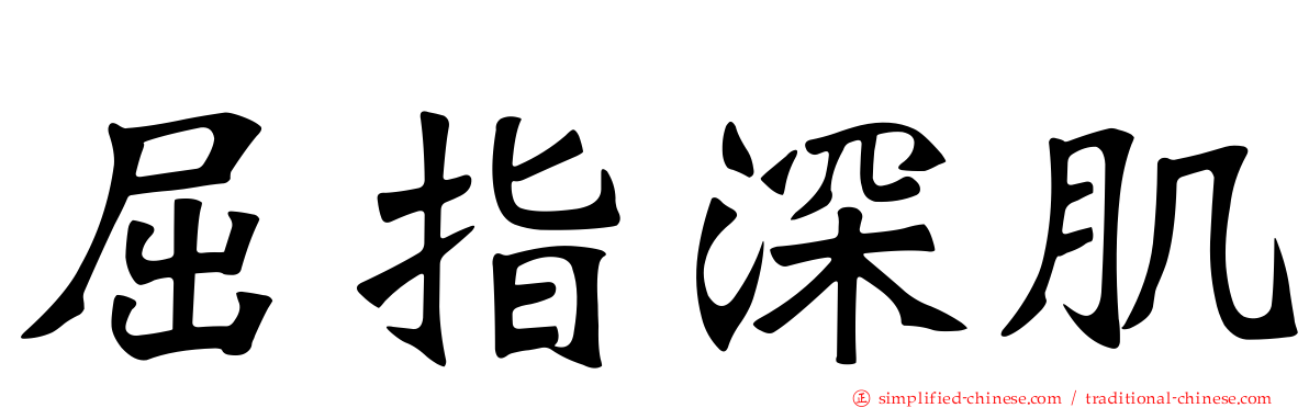 屈指深肌