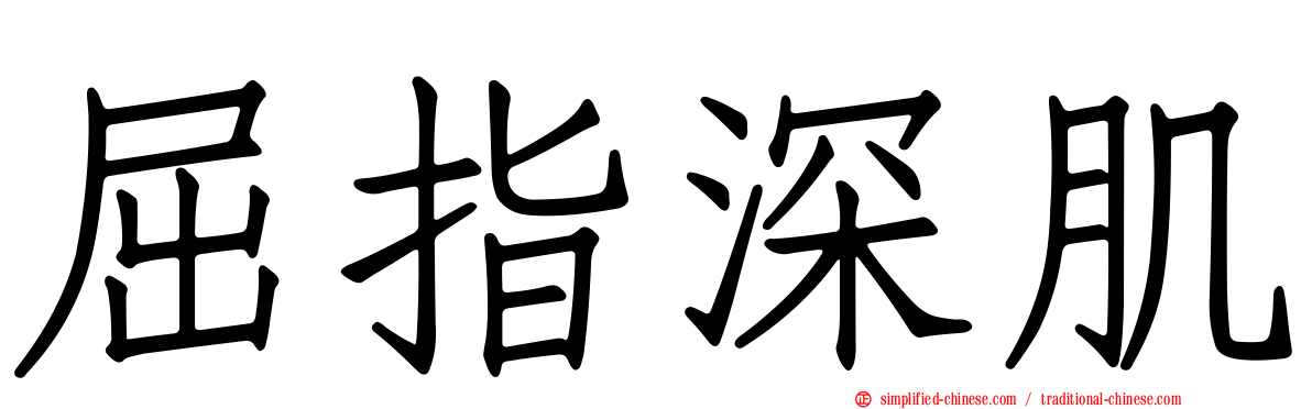 屈指深肌