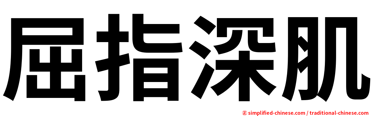 屈指深肌