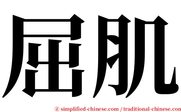 屈肌 serif font
