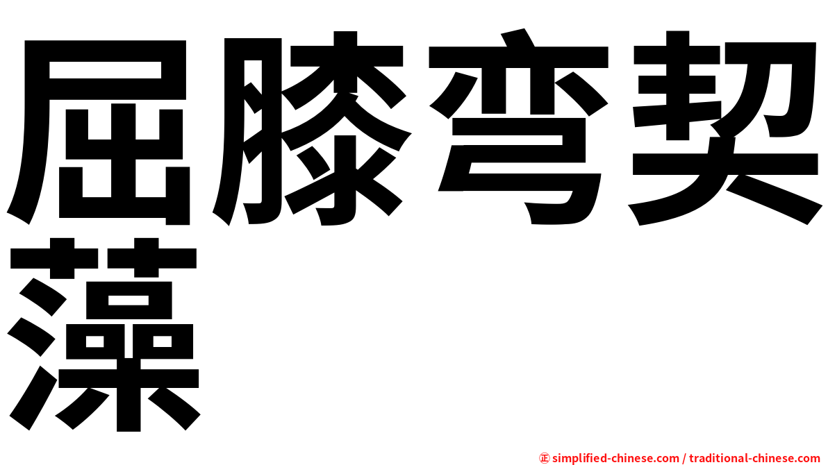 屈膝弯契藻