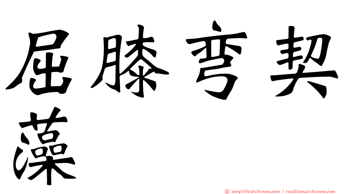 屈膝弯契藻