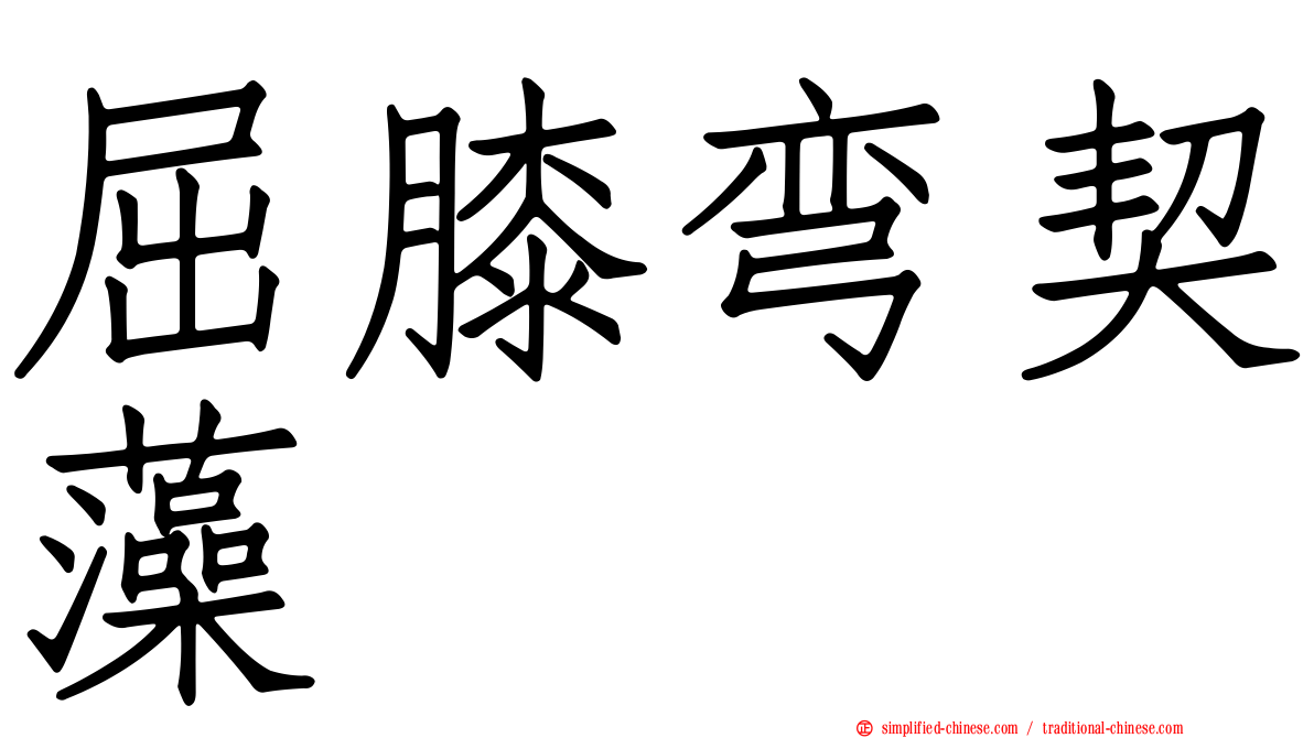 屈膝弯契藻