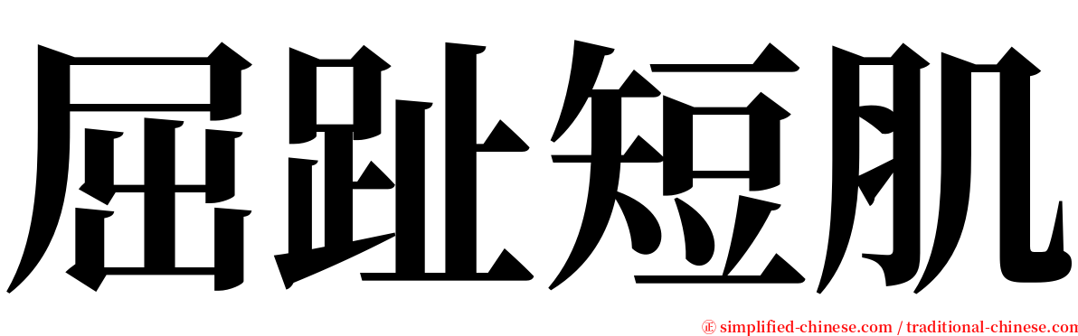 屈趾短肌 serif font
