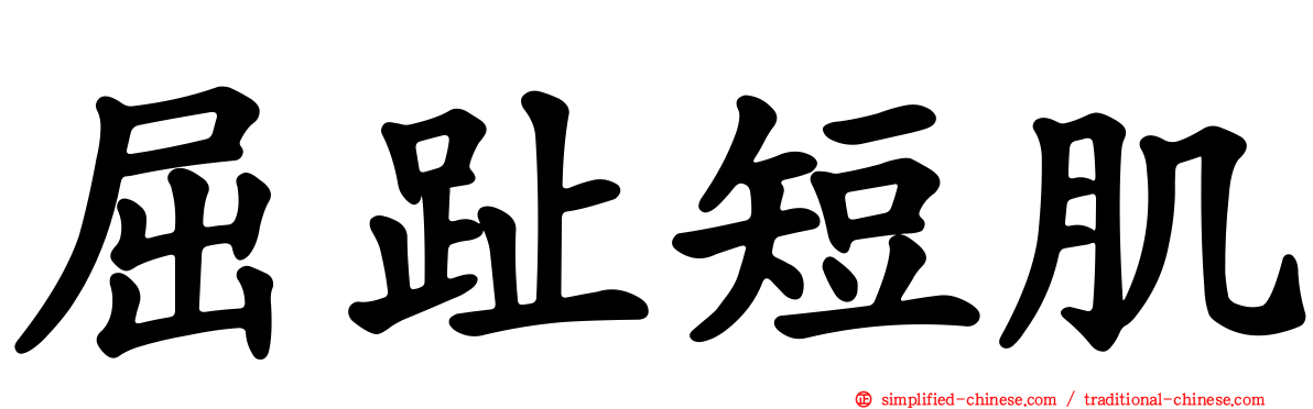 屈趾短肌