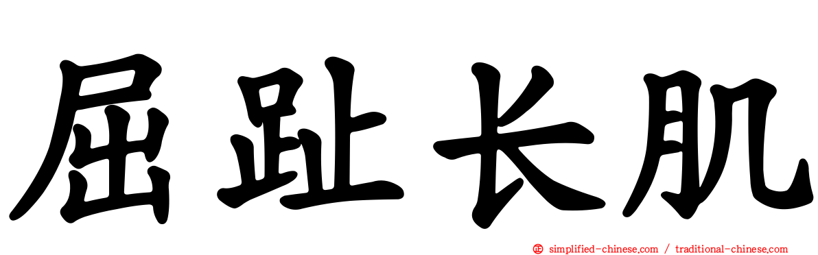 屈趾长肌
