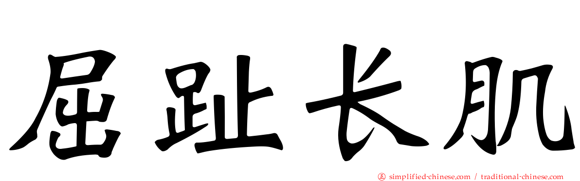 屈趾长肌