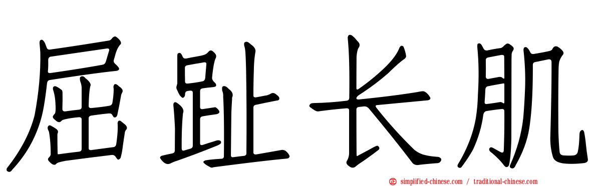 屈趾长肌