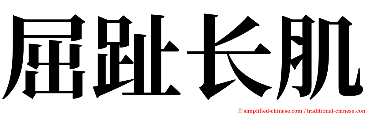 屈趾长肌 serif font