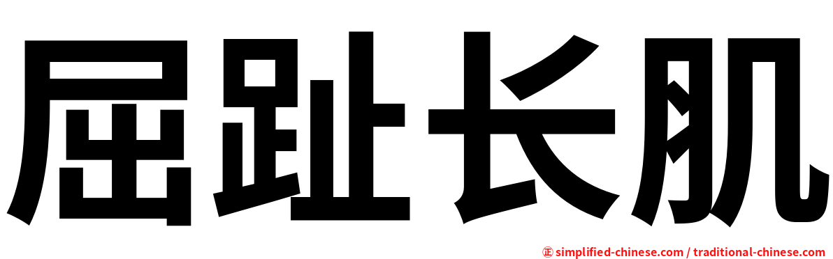 屈趾长肌