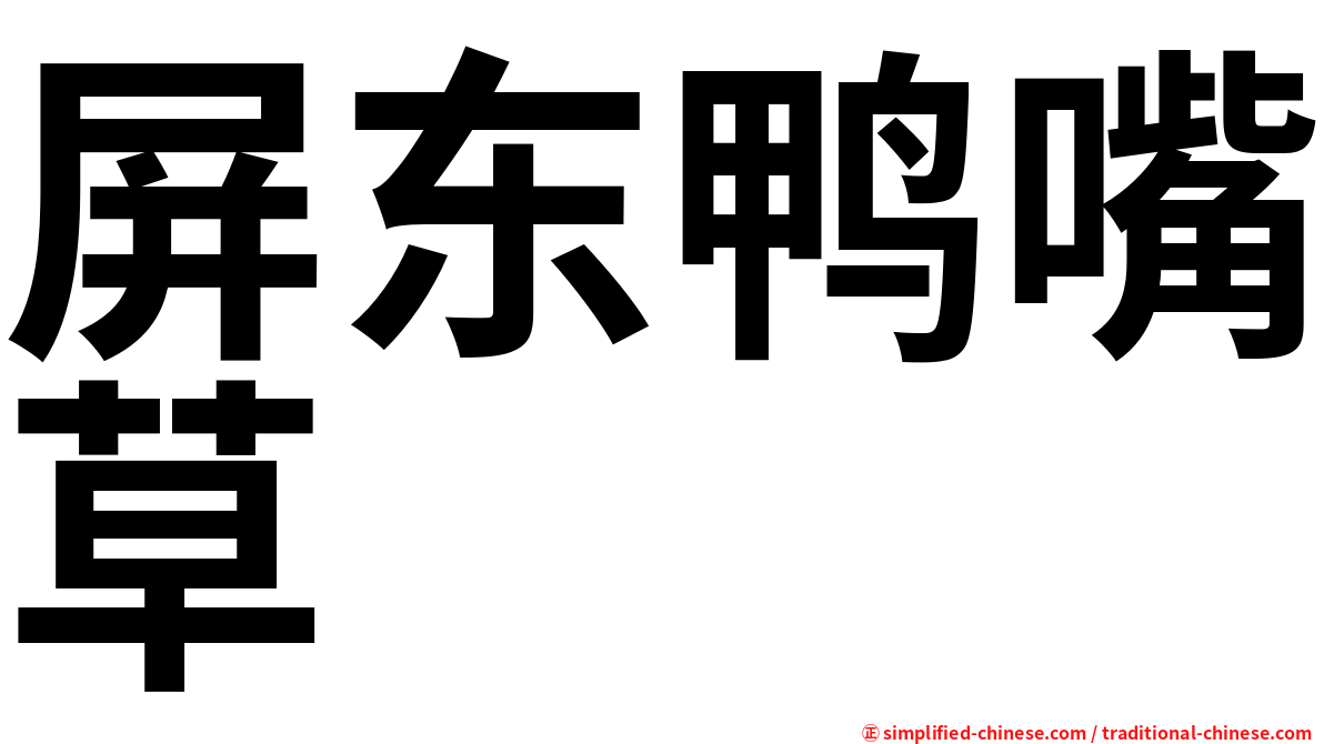 屏东鸭嘴草