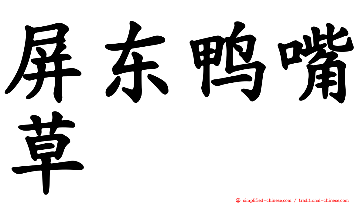 屏东鸭嘴草