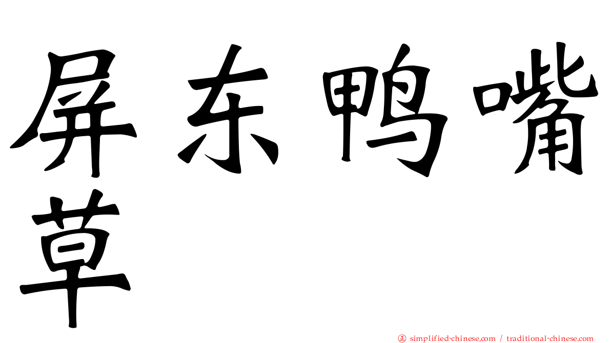 屏东鸭嘴草