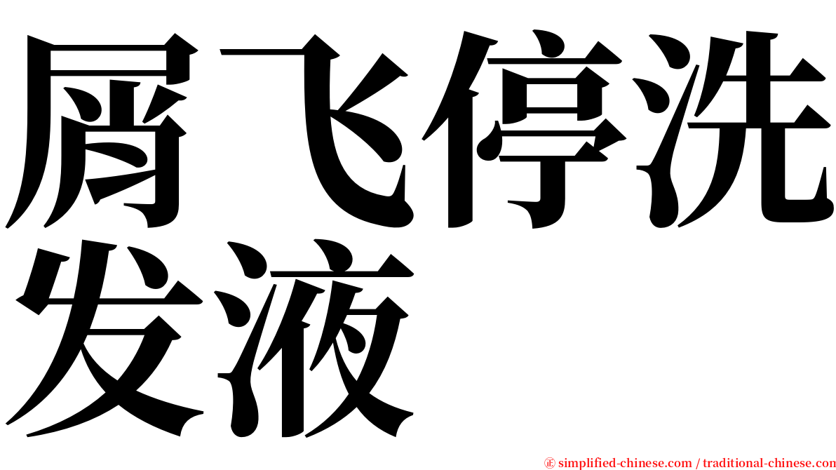 屑飞停洗发液 serif font