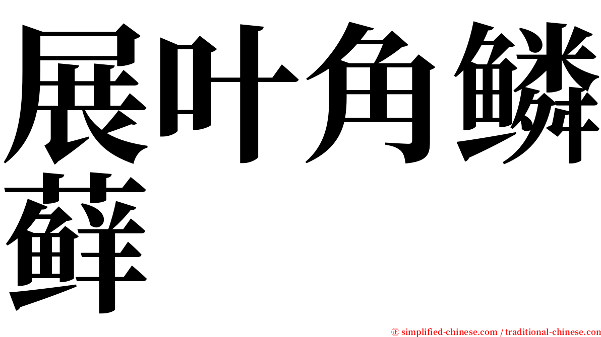 展叶角鳞藓 serif font