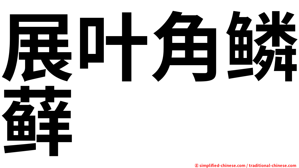 展叶角鳞藓