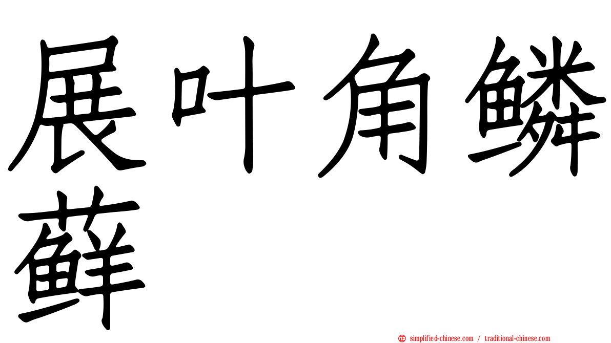 展叶角鳞藓