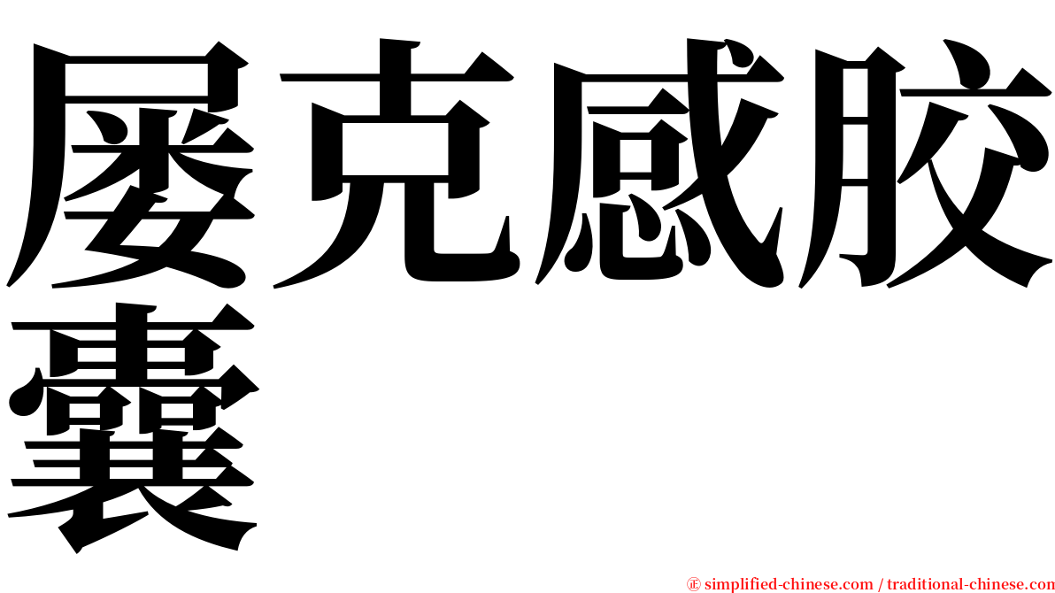 屡克感胶囊 serif font