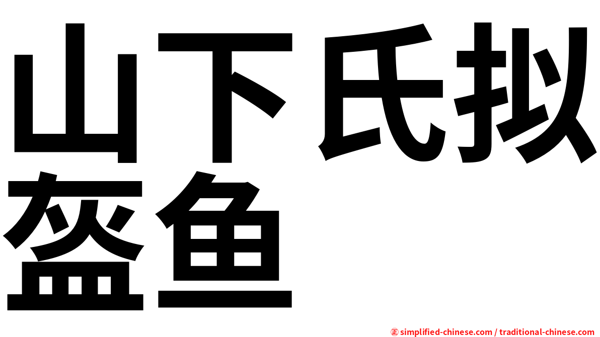 山下氏拟盔鱼
