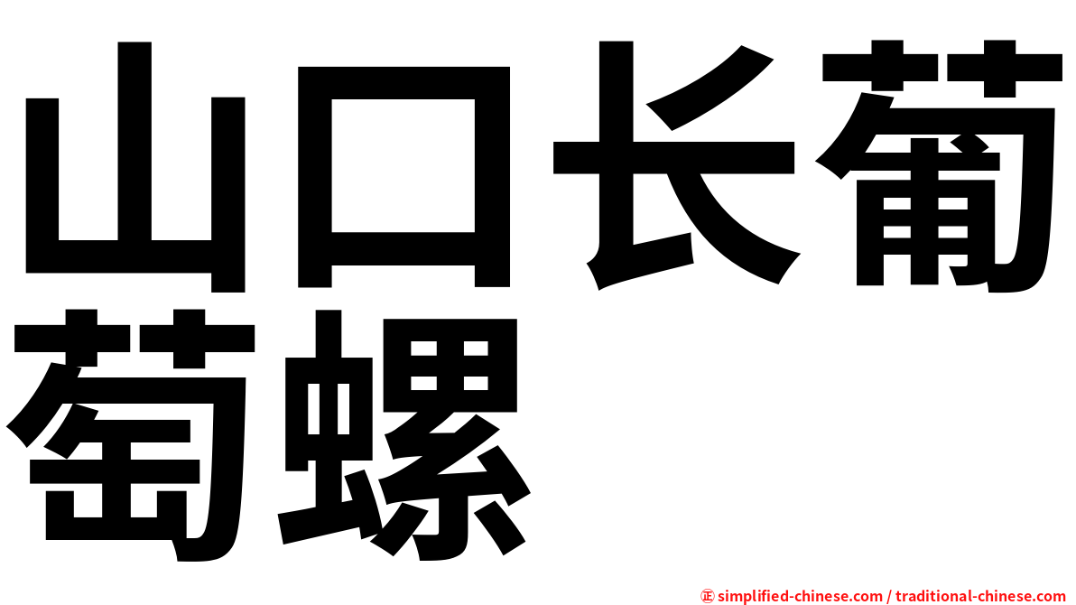 山口长葡萄螺