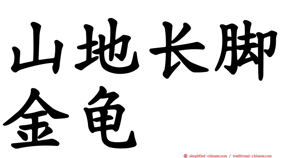 山地长脚金龟