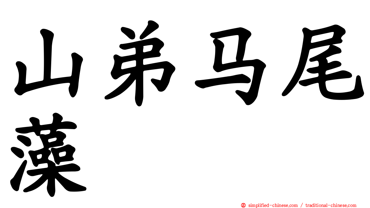 山弟马尾藻