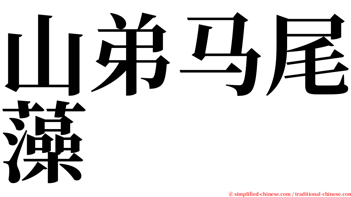 山弟马尾藻 serif font