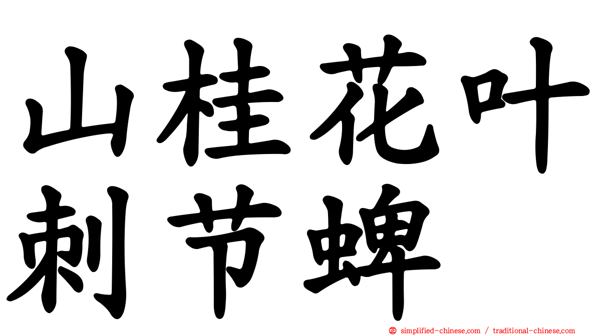山桂花叶刺节蜱