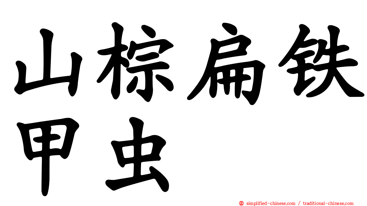山棕扁铁甲虫