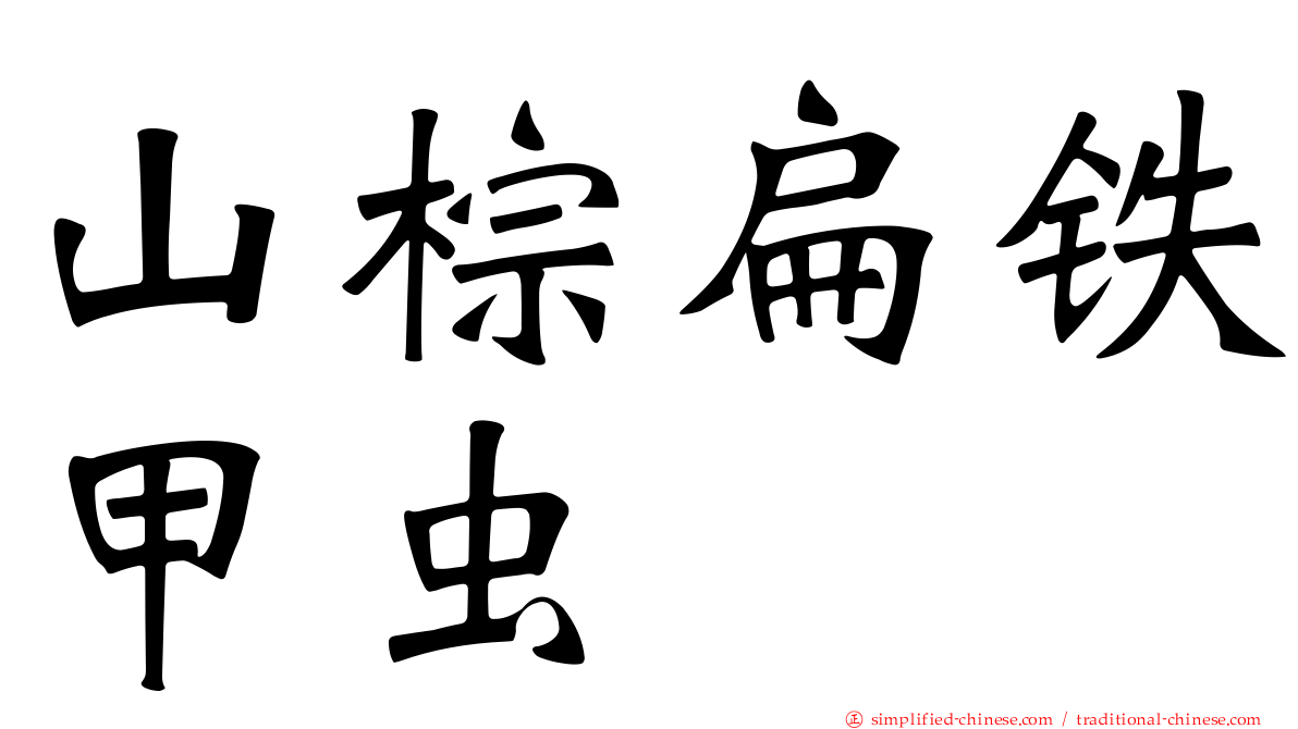 山棕扁铁甲虫