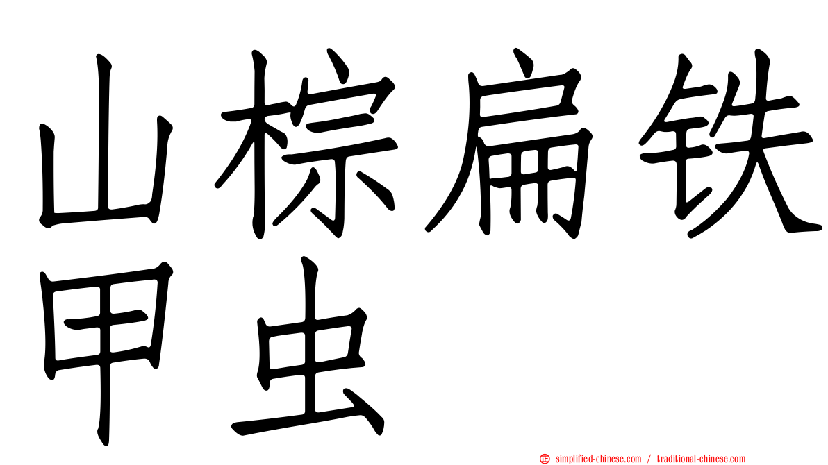 山棕扁铁甲虫
