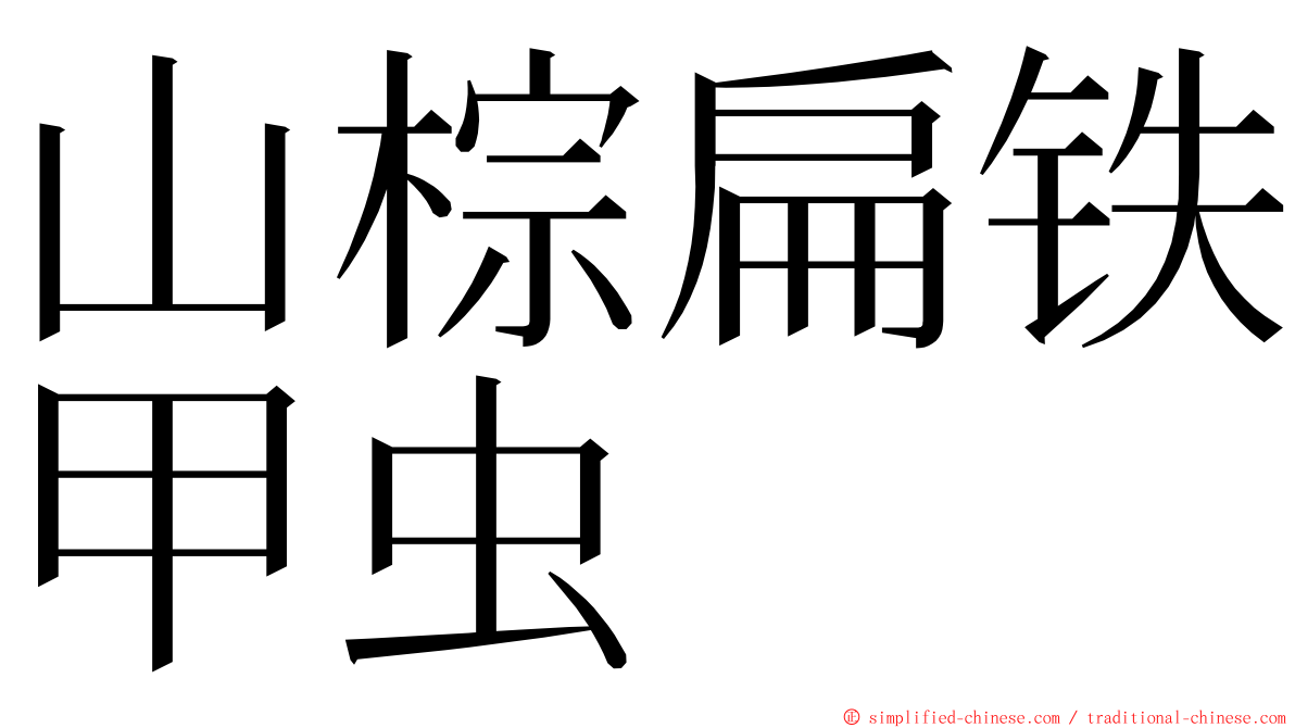 山棕扁铁甲虫 ming font