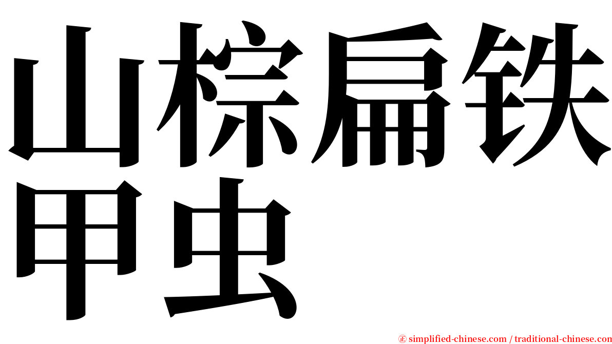 山棕扁铁甲虫 serif font