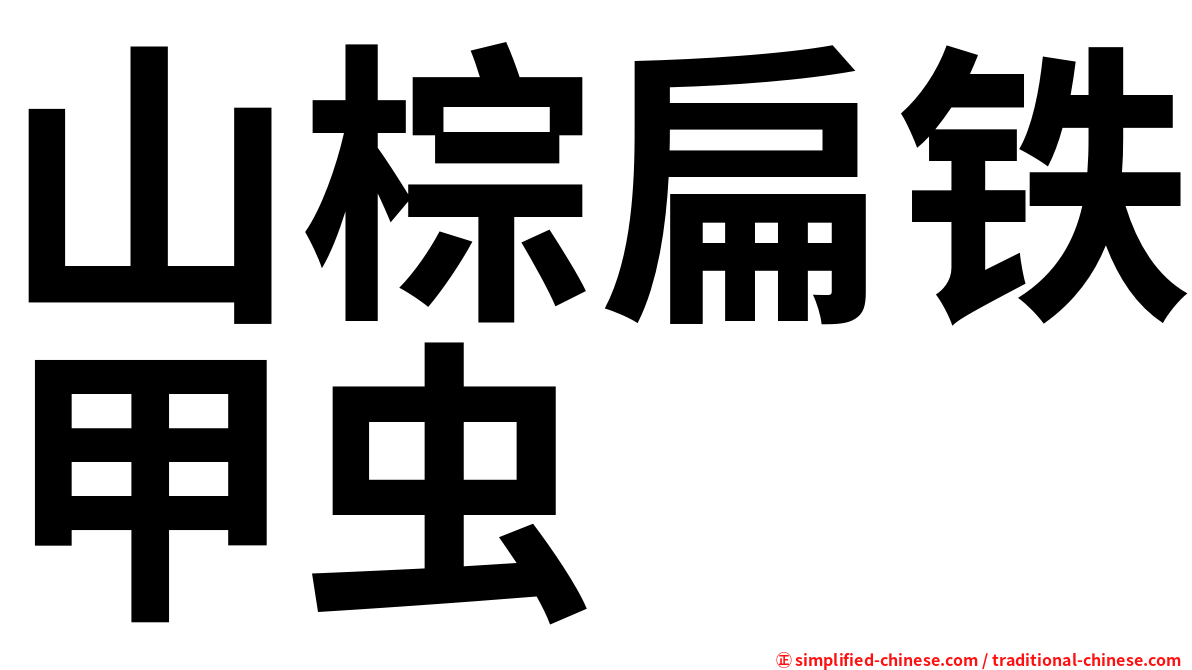 山棕扁铁甲虫