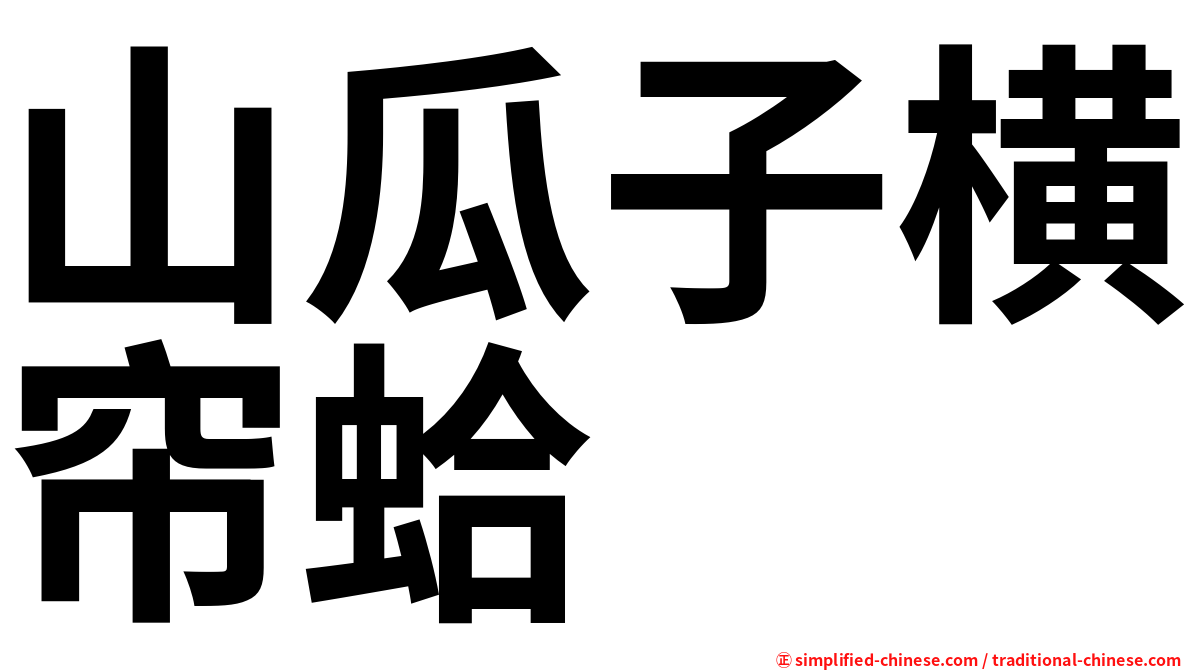 山瓜子横帘蛤