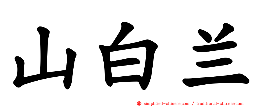 山白兰