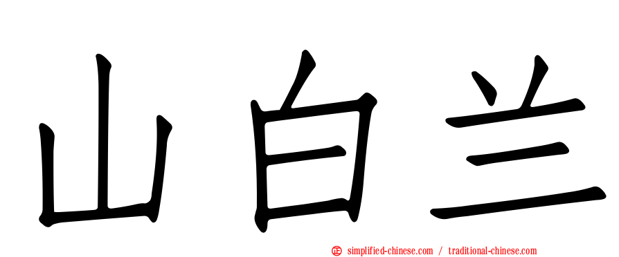 山白兰