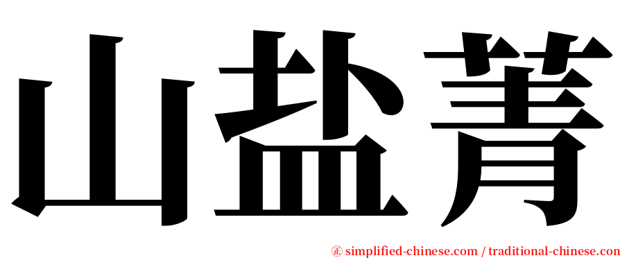 山盐菁 serif font